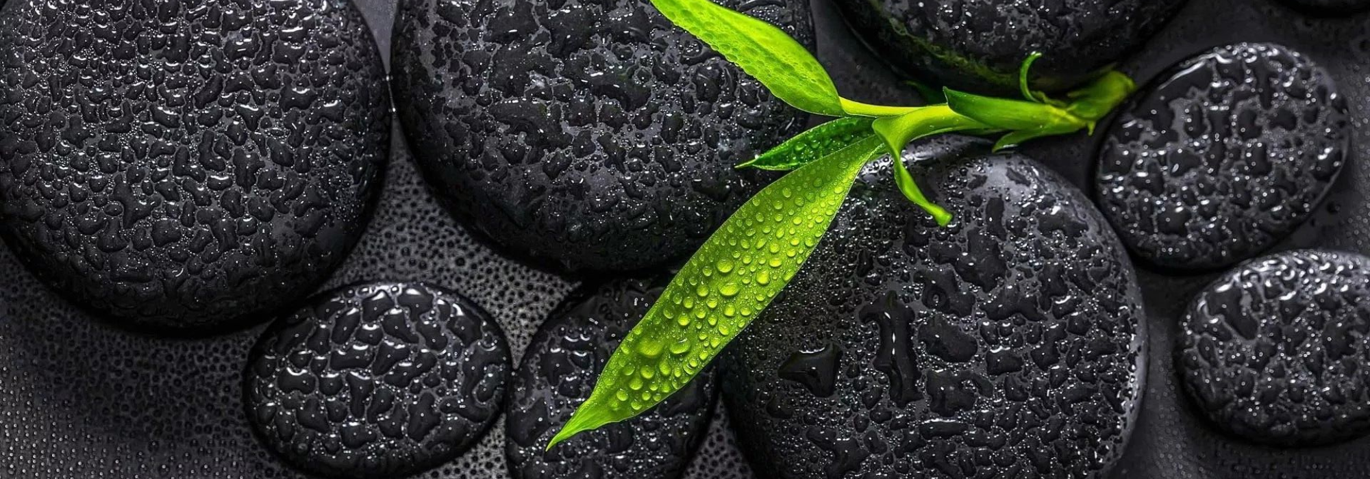 Žalumos/Gaivūs/Samanų kvapai